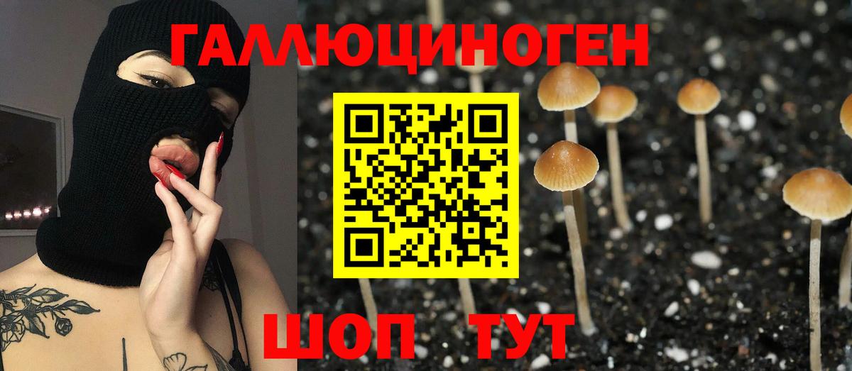 Псилоцибиновые грибы GOLDEN TEACHER  Вход с VPN  Дедовск  Псилоцибиновые грибы MAGIC MUSHROOMS 